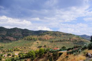 Vistas de Peñolite en la Sierra de Segura Jaén
